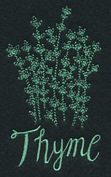 Herb Sketch - Thyme