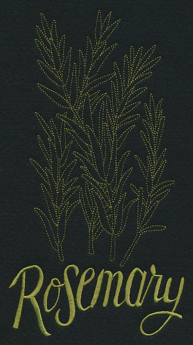 Herb Sketch - Rosemary