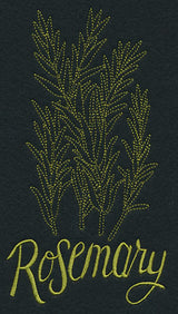 Herb Sketch - Rosemary