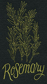Herb Sketch - Rosemary