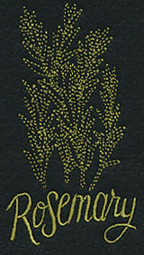 Herb Sketch - Rosemary