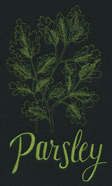 Herb Sketch - Parsley