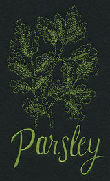 Herb Sketch - Parsley