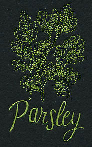Herb Sketch - Parsley