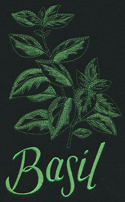 Herb Sketch - Basil