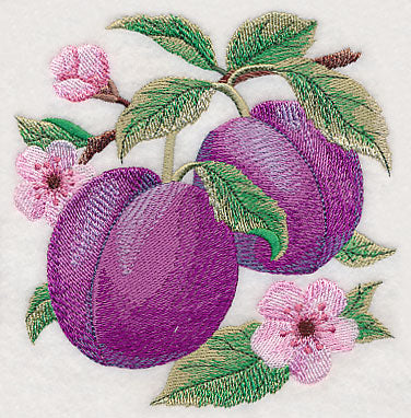 Plum Fruit Accent