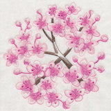 Cherry Blossom Beauty 1