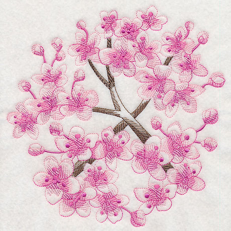 Cherry Blossom Beauty 1