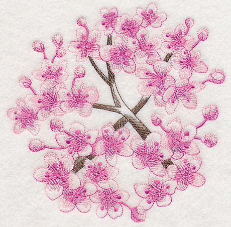 Cherry Blossom Beauty 1