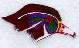 Wood Duck Head