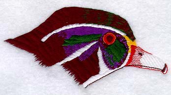 Wood Duck Head