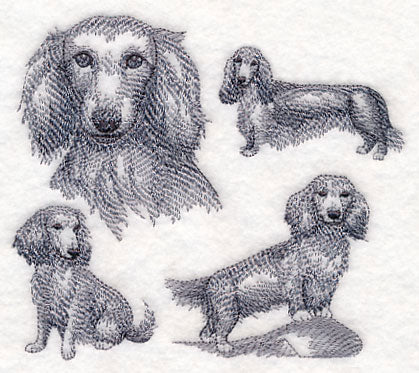 Long-Haired Wiener Dog Sketch