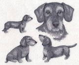 Wire-Haired Wiener Dog Sketch