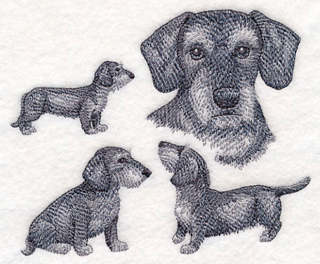 Wire-Haired Wiener Dog Sketch
