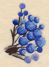 Wintry Berry Branch in Watercolor