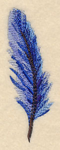 Wintry Feather in Watercolor