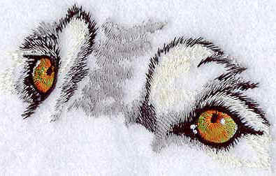 Wolf Eyes