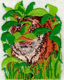 Peering Tiger