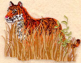 Tiger in Tall Grass