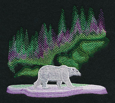 Northern Lights Polar Bear