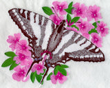Zebra Swallowtail Butterfly