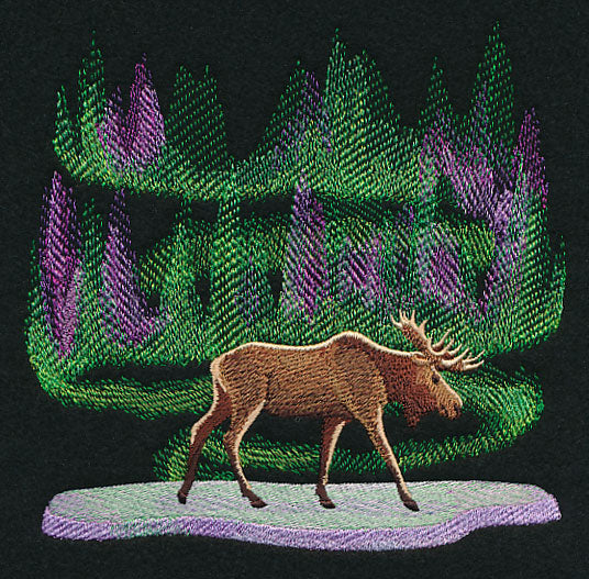 Northern Lights Moose