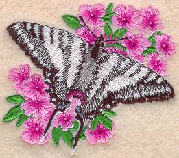 Zebra Swallowtail Butterfly