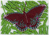 Red Spotted Purple Butterfly