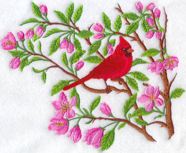 Cardinal - Spring