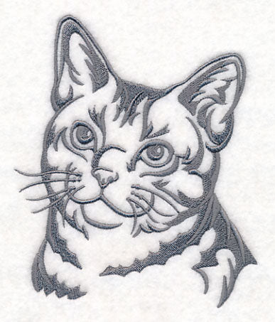 American Shorthair Cat Silhouette