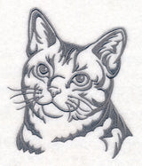 American Shorthair Cat Silhouette