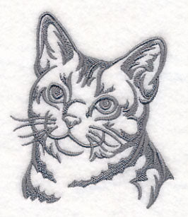 American Shorthair Cat Silhouette