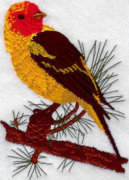 Western Tanager