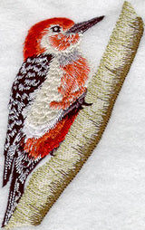 Red Bellied Woodpecker