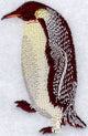 Emperor Penguin