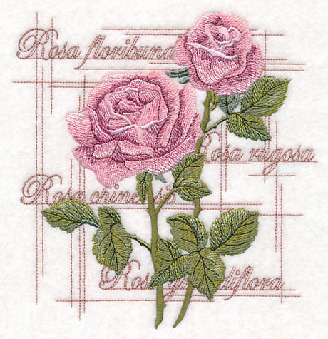 A Rose By Any Other Name