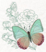 Butterfly Beauty - Green Charaxes