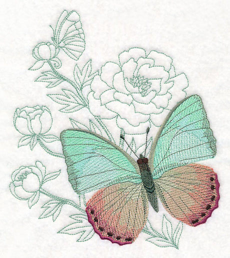 Butterfly Beauty - Green Charaxes