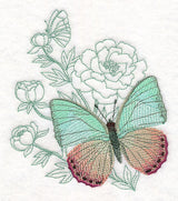 Butterfly Beauty - Green Charaxes