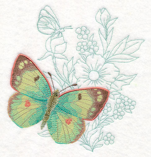 Butterfly Beauty - Colias Hyale