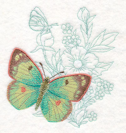 Butterfly Beauty - Colias Hyale