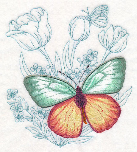 Butterfly Beauty - Cepora Aspasia