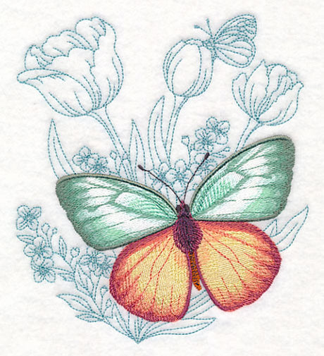 Butterfly Beauty - Cepora Aspasia