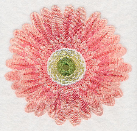 Bursting Bloom Daisy