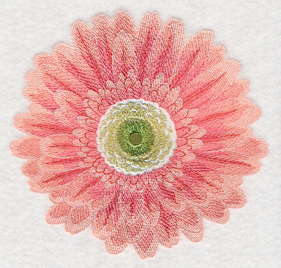 Bursting Bloom Daisy