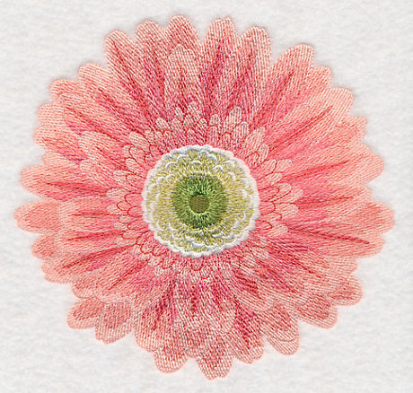 Bursting Bloom Daisy