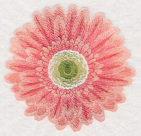 Bursting Bloom Daisy