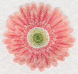 Bursting Bloom Daisy