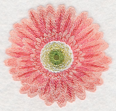 Bursting Bloom Daisy