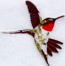 Male Ruby Throated Hummingbird